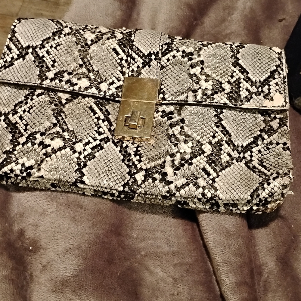 Snakeskin Clutch Bag